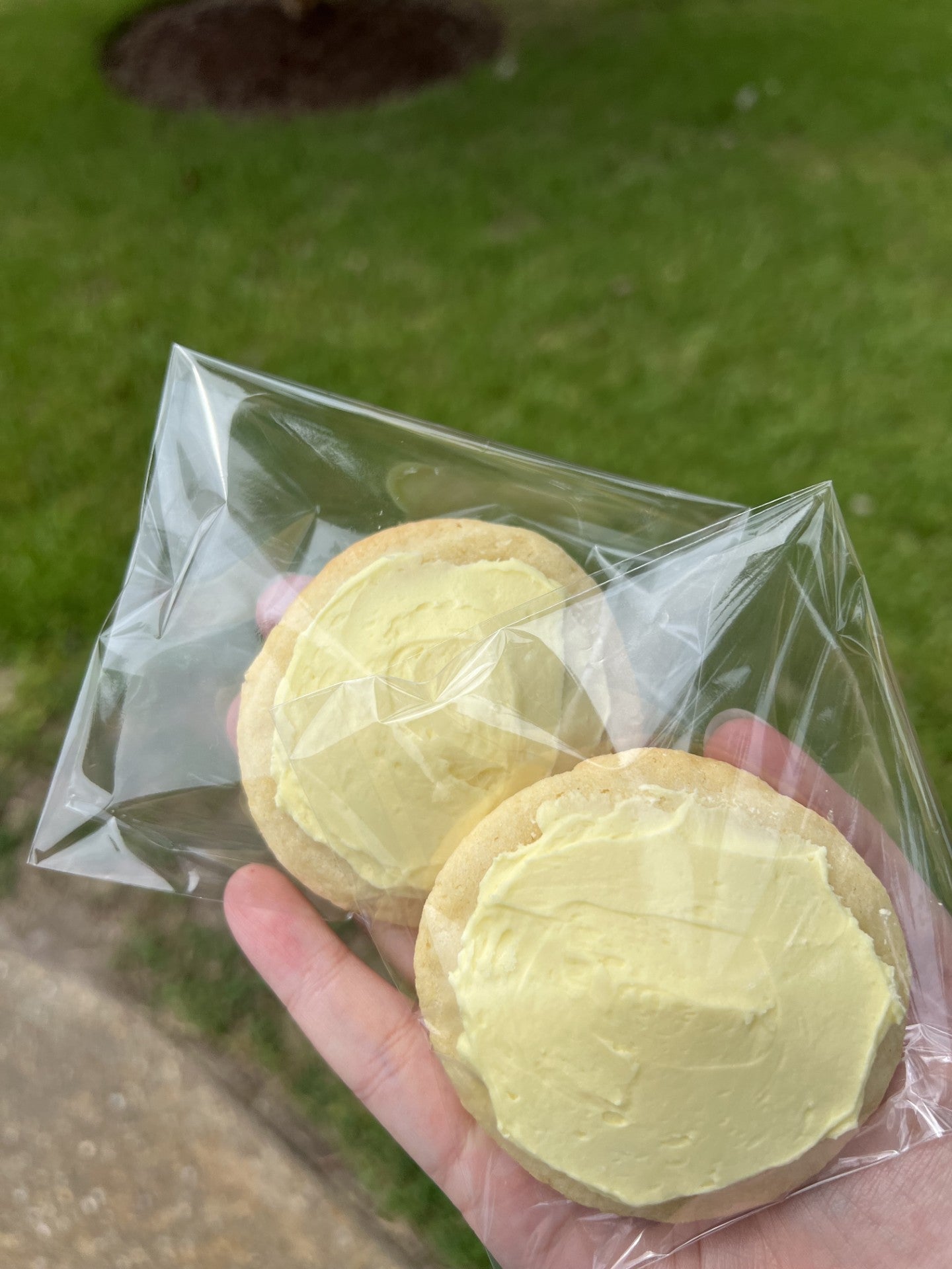 Frosted Cookies